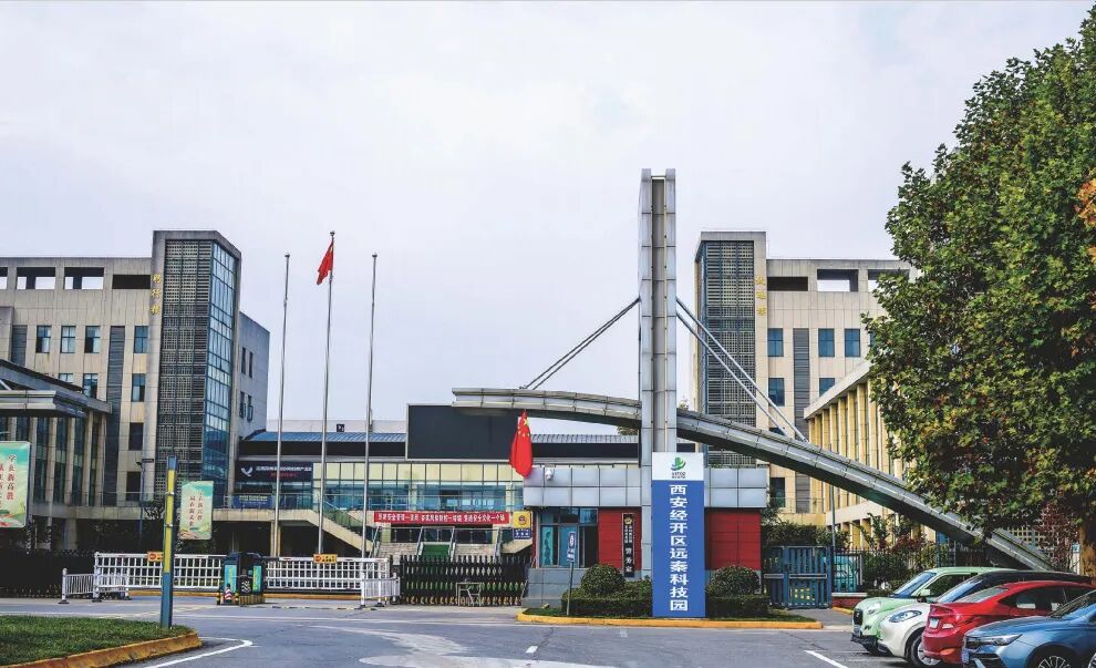 图层-6.jpg