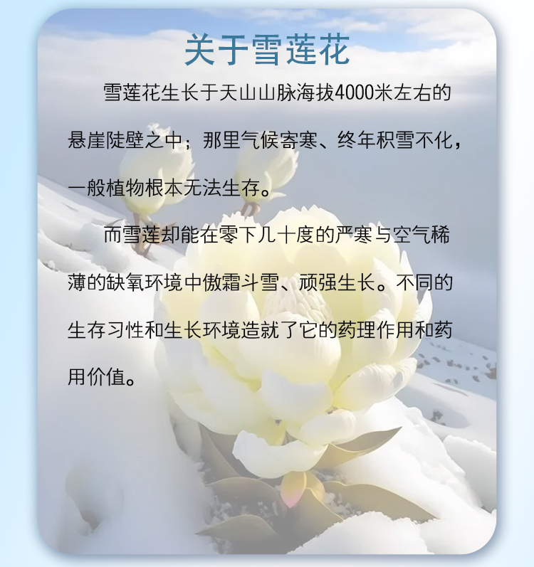 微信图片_20260515093511204_6.jpg